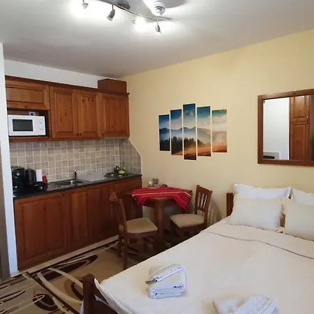 луксозно студио в - малко кътче от рая. アパート バンスコ